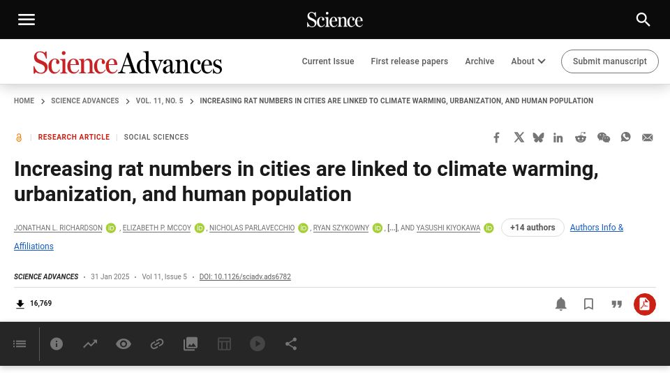 Screenshot of science.org: Increasing rat numbers in cities are linked to climate warming, urbanization