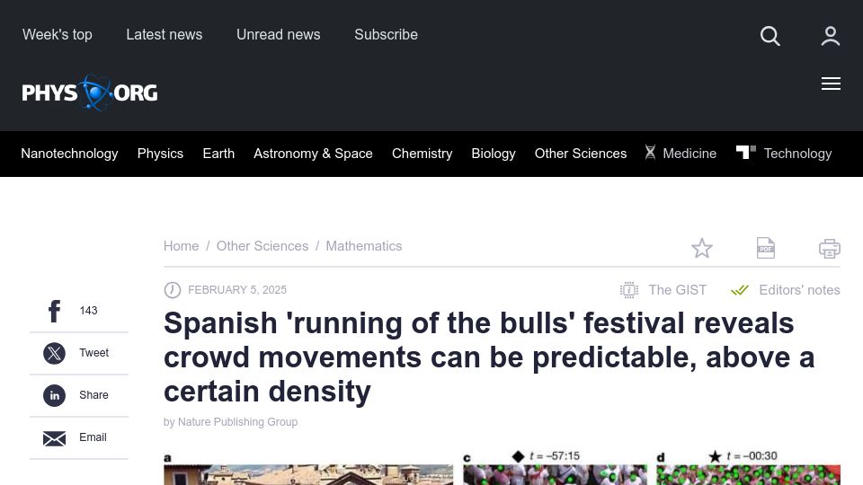 Screenshot of phys.org: Spanish 'running of the bulls' festival reveals crowd movements can be predicted