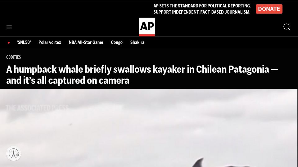 Screenshot of apnews.com: Humpback whale briefly traps young kayaker in its mouth in Chile