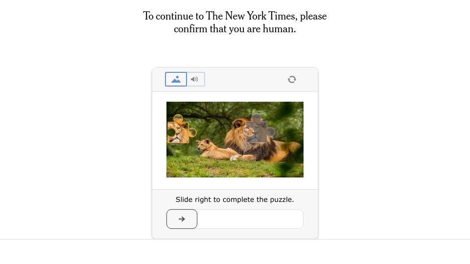 Screenshot of nytimes.com: A.I. Is Prompting an Evolution, Not Extinction, for Coders