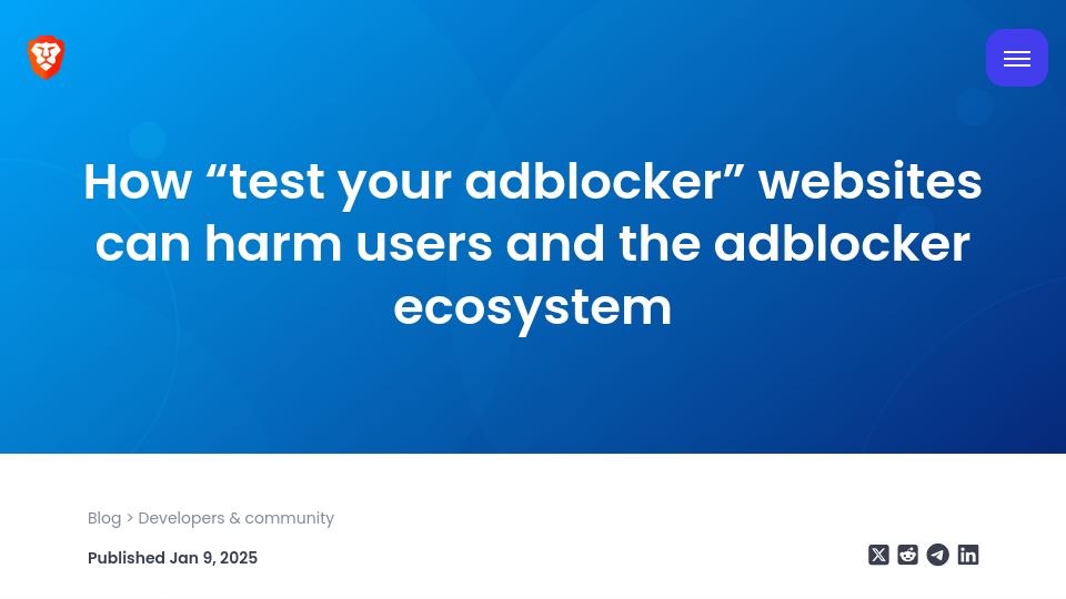 Screenshot of brave.com: "Test your adblocker" websites can harm users and the adblocker ecosystem