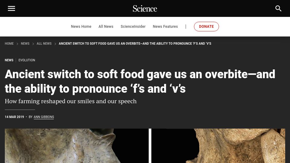 Screenshot of science.org: Ancient switch to soft food gave us overbite–the ability to pronounce 'f's,'v'