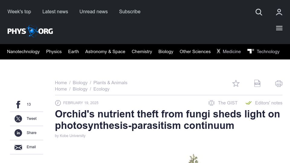 Screenshot of phys.org: Orchid's nutrient theft from fungi shows photosynthesis-parasitism continuum
