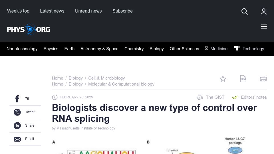 Screenshot of phys.org: Biologists discover a new type of control over RNA splicing