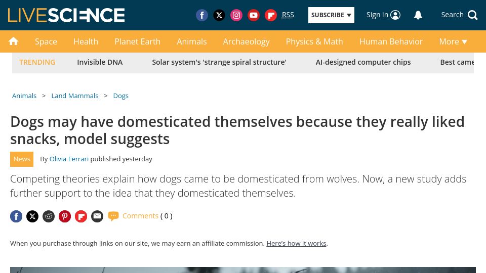 Screenshot of livescience.com: Dogs may have domesticated themselves because they liked snacks, model suggests