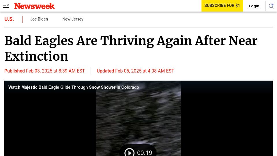 Screenshot of newsweek.com: Bald eagles are thriving again after near extinction