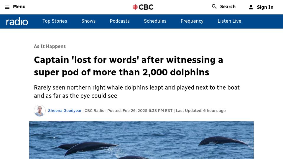 Screenshot of cbc.ca: Captain 'lost for words' after witnessing a super pod of more than 2k dolphins