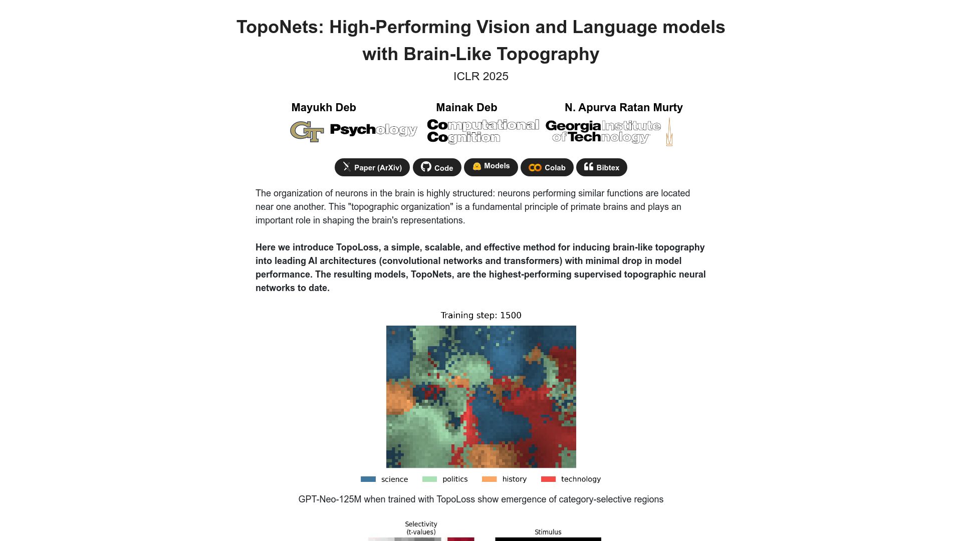 Screenshot of toponets.github.io: TopoNets: High-Performing Vision and Language Models with Brain-Like Topography