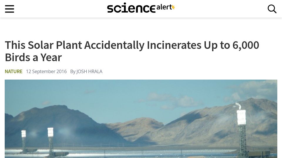 Screenshot of sciencealert.com: Nevada Ivanpah Solar Plant Accidentally Incinerates Up to 6k Birds a Year (2016)