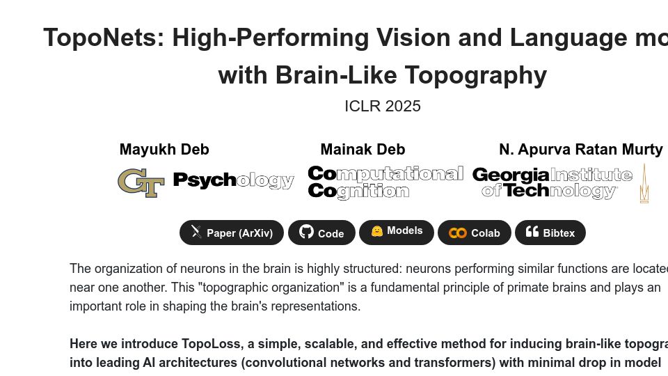 Screenshot of toponets.github.io: TopoNets: High-Performing Vision and Language Models with Brain-Like Topography