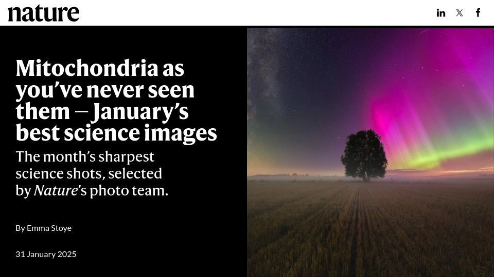 Screenshot of nature.com: Mitochondria as you've never seen them