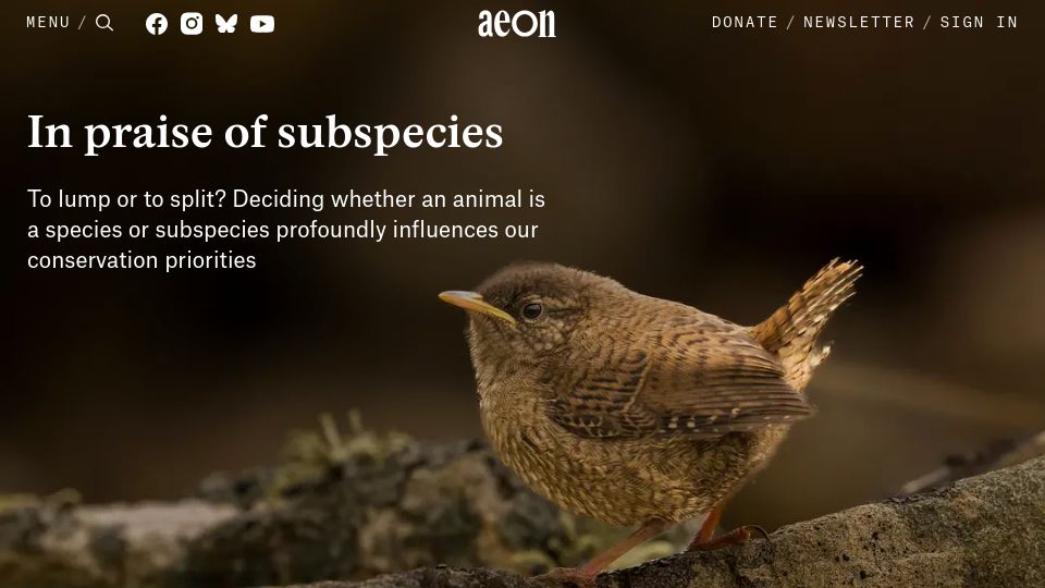 Screenshot of aeon.co: In Praise of Subspecies
