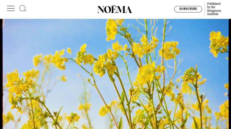 Screenshot of noemamag.com: Why AI Is a Philosophical Rupture