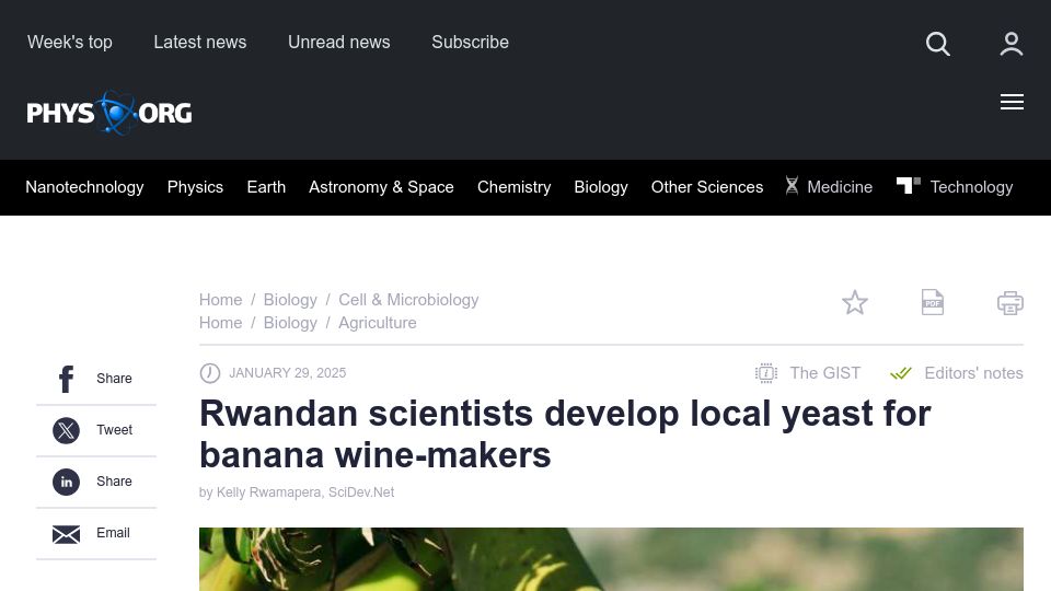 Screenshot of phys.org: Rwandan scientists develop local yeast for banana wine-makers