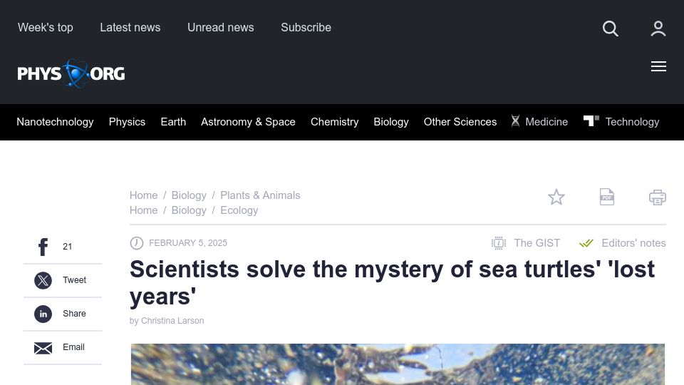 Screenshot of phys.org: Scientists solve the mystery of sea turtles' 'lost years'