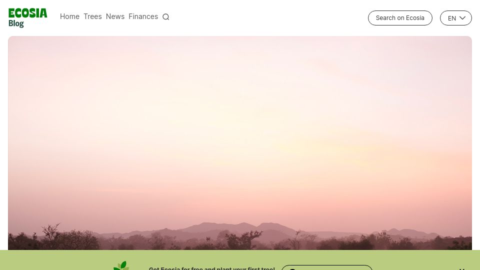 Screenshot of blog.ecosia.org: Trees not profits: we're giving up our right to ever sell Ecosia (2018)