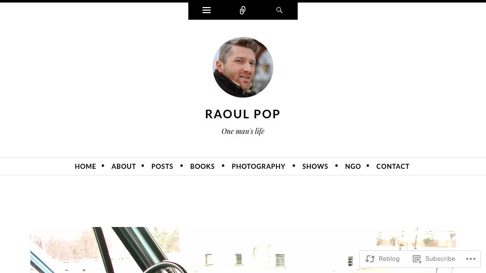 Screenshot of raoulpop.com: Chasing RFI Waves – Part Seven