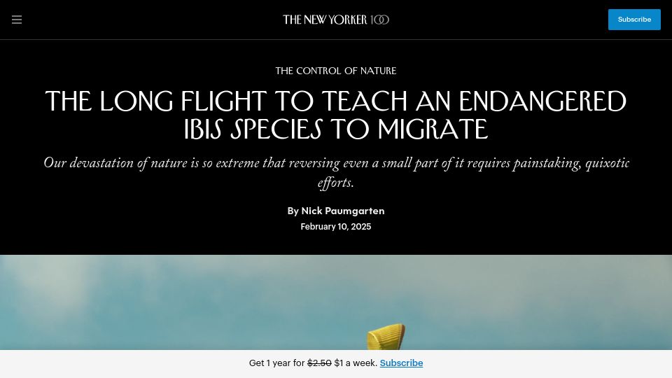 Screenshot of newyorker.com: The long flight to teach an endangered ibis species to migrate
