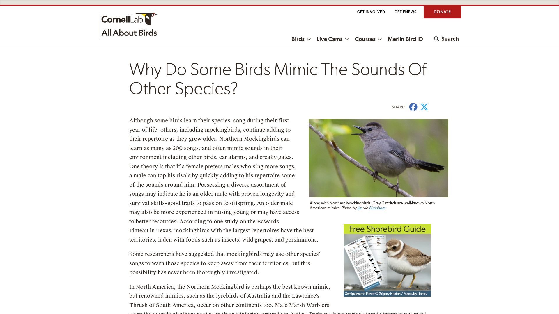 Screenshot of allaboutbirds.org: Why do some birds mimic the sounds of other species?