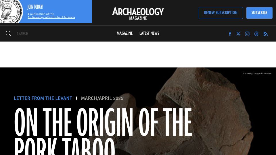 Screenshot of archaeology.org: The Origin of the Pork Taboo