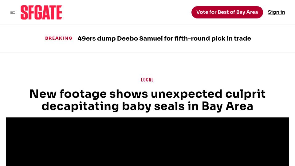 Screenshot of sfgate.com: New footage shows sneaky killer is decapitating baby seals on California beaches