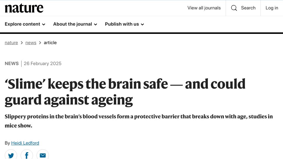 Screenshot of nature.com: Mucins keep the brain safe and could guard against ageing