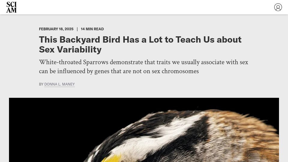 Screenshot of scientificamerican.com: Backyard bird has a lot to teach us about sex variability