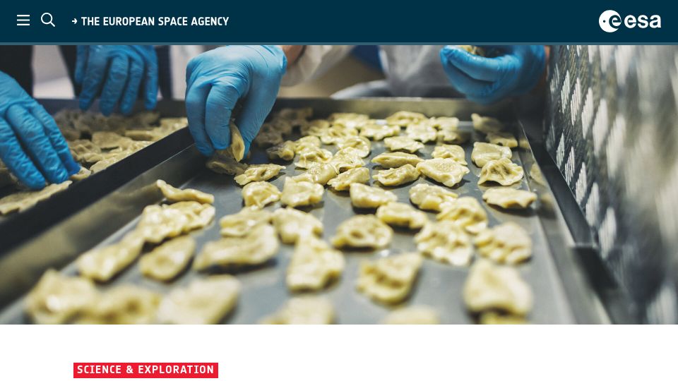 Screenshot of esa.int: Pierogi in Space
