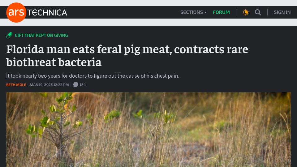 Screenshot of arstechnica.com: Feral pig meat transmits rare bacteria