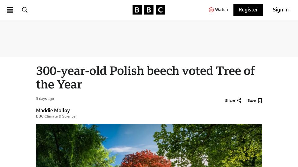 Screenshot of bbc.co.uk: 300-year-old Polish beech voted Tree of the Year