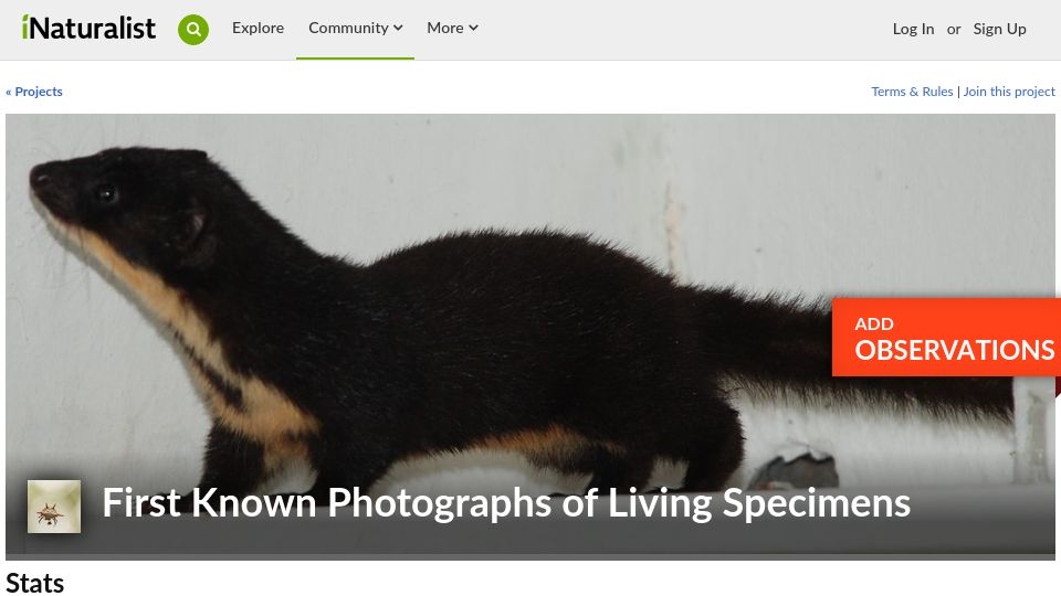 Screenshot of inaturalist.org: First Known Photographs of Living Specimens