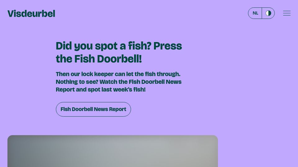 Screenshot of visdeurbel.nl: Did you spot a fish? Press the Fish Doorbell