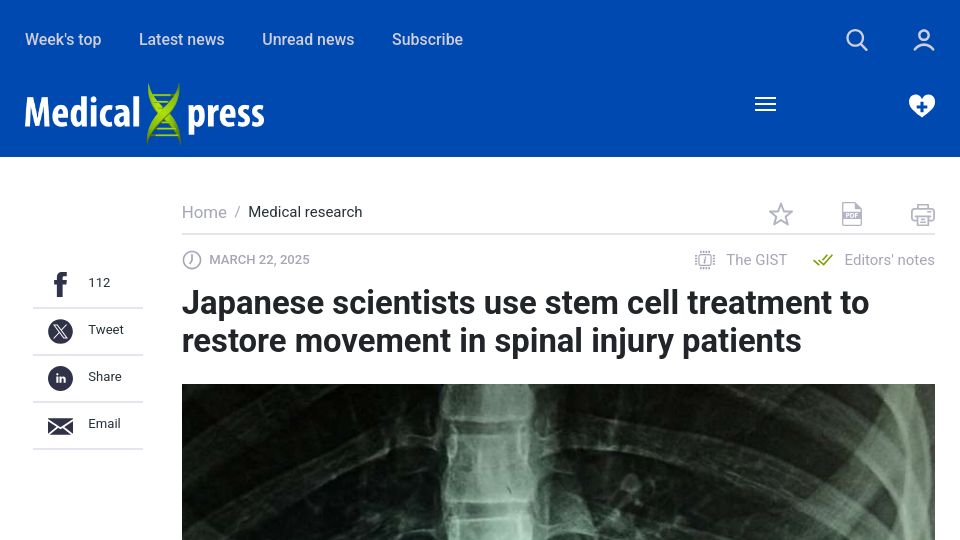 Screenshot of medicalxpress.com: Japanese scientists use stem cell treatment to restore movement in spinal injury