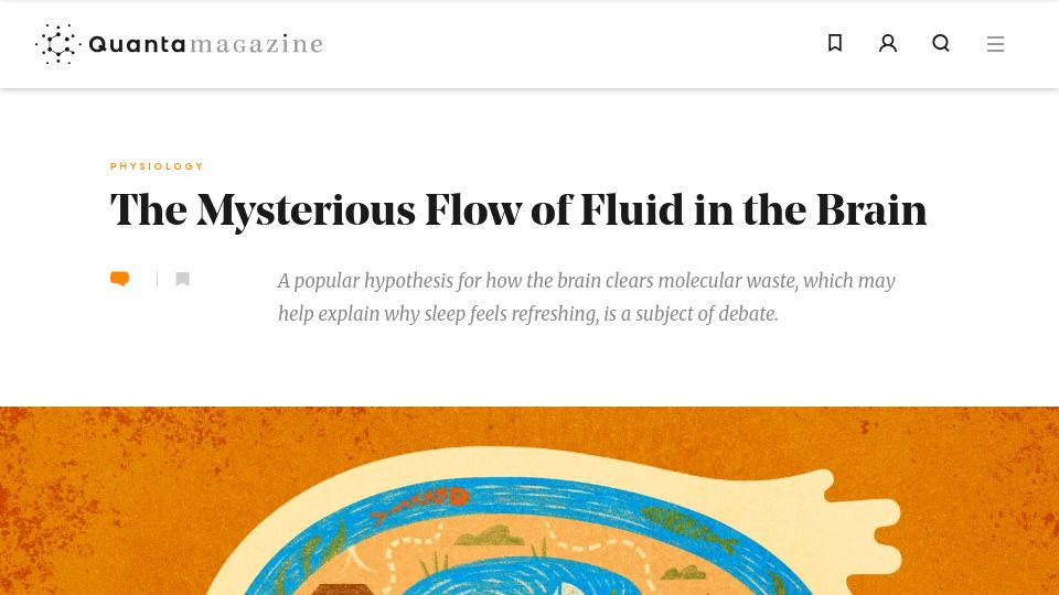 Screenshot of quantamagazine.org: The mysterious flow of fluid in the brain