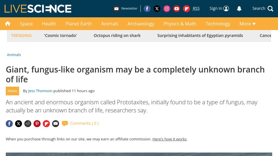 Screenshot of livescience.com: Giant, fungus-like organism may be a completely unknown branch of life