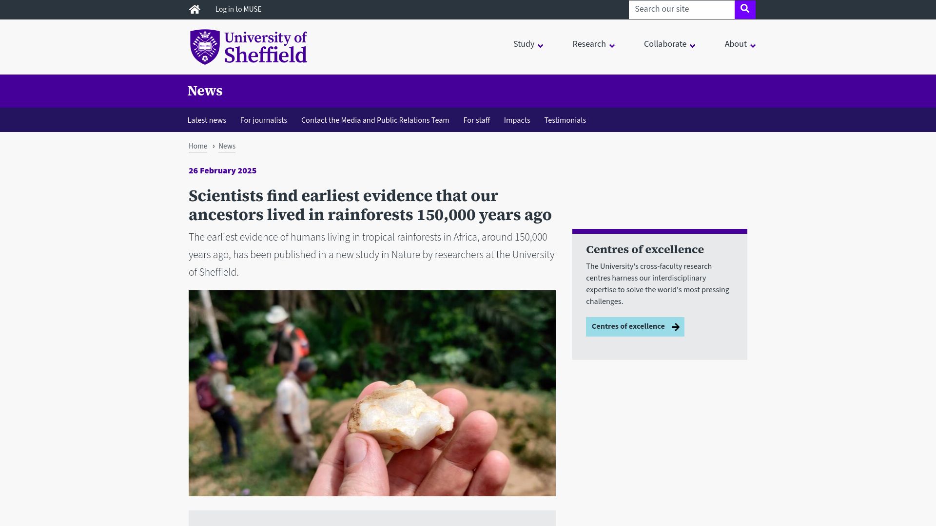 Screenshot of sheffield.ac.uk: Evidence that our ancestors lived in rainforests 150k years ago