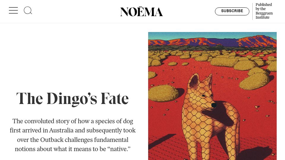 Screenshot of noemamag.com: The Dingo's Fate