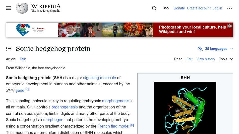 Screenshot of en.wikipedia.org: SHH – Sonic Hedgehog Protein