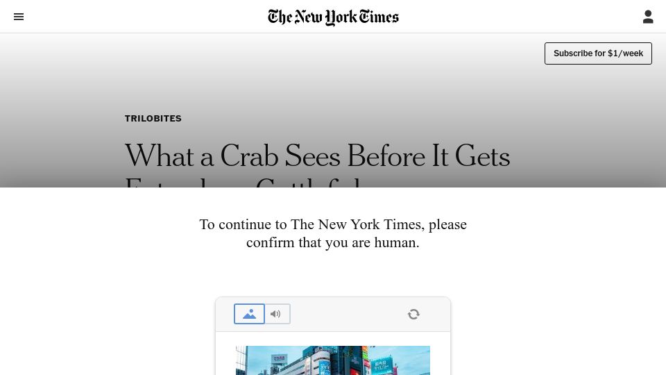 Screenshot of nytimes.com: What a crab sees before it gets eaten by a cuttlefish