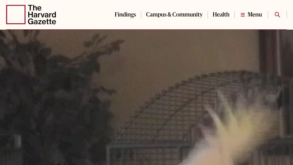 Screenshot of news.harvard.edu: Study of cockatoo Snowball suggests humans aren't the only ones who can dance