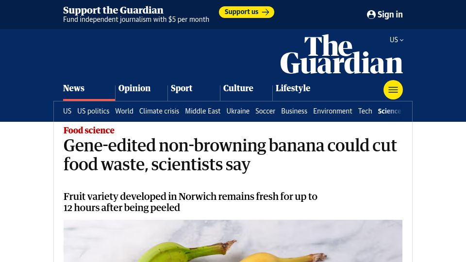 Screenshot of theguardian.com: Gene-edited non-browning banana could cut food waste