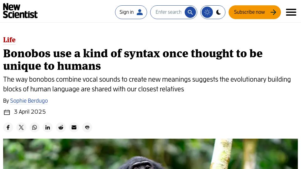 Screenshot of newscientist.com: Bonobos use a kind of syntax once thought to be unique to humans