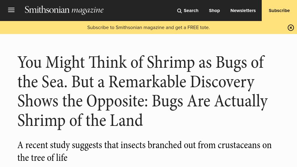 Screenshot of smithsonianmag.com: A recent study suggests that insects branched out from crustaceans