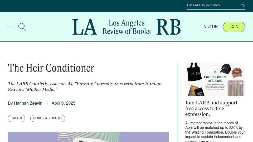 Screenshot of lareviewofbooks.org: The Heir Conditioner