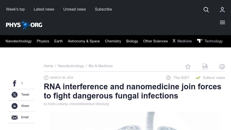 Screenshot of phys.org: RNA interference and nanomedicine team up to fight dangerous fungal infections