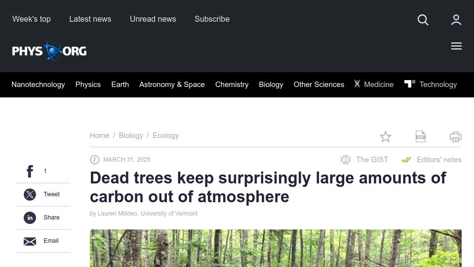 Screenshot of phys.org: Dead trees keep surprisingly large amounts of carbon out of atmosphere