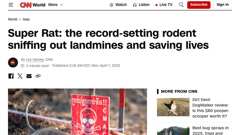 Screenshot of cnn.com: Super Rat: the record-setting rodent sniffing out landmines and saving lives