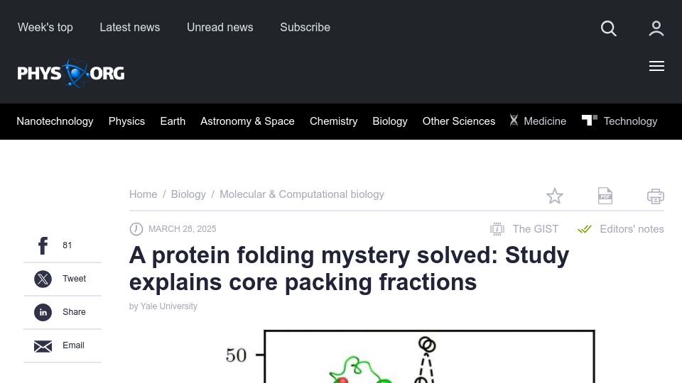 Screenshot of phys.org: A protein folding mystery solved: Study explains core packing fractions