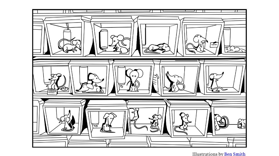 Screenshot of jsomers.net: Vivarium: The keeper of a lab's animals stumbles onto a secret [fiction]