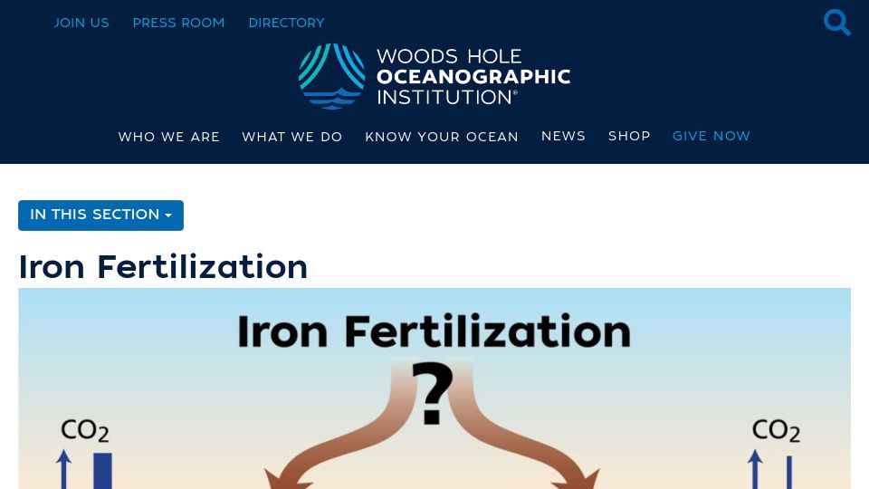 Screenshot of whoi.edu: Ocean Iron Fertilization